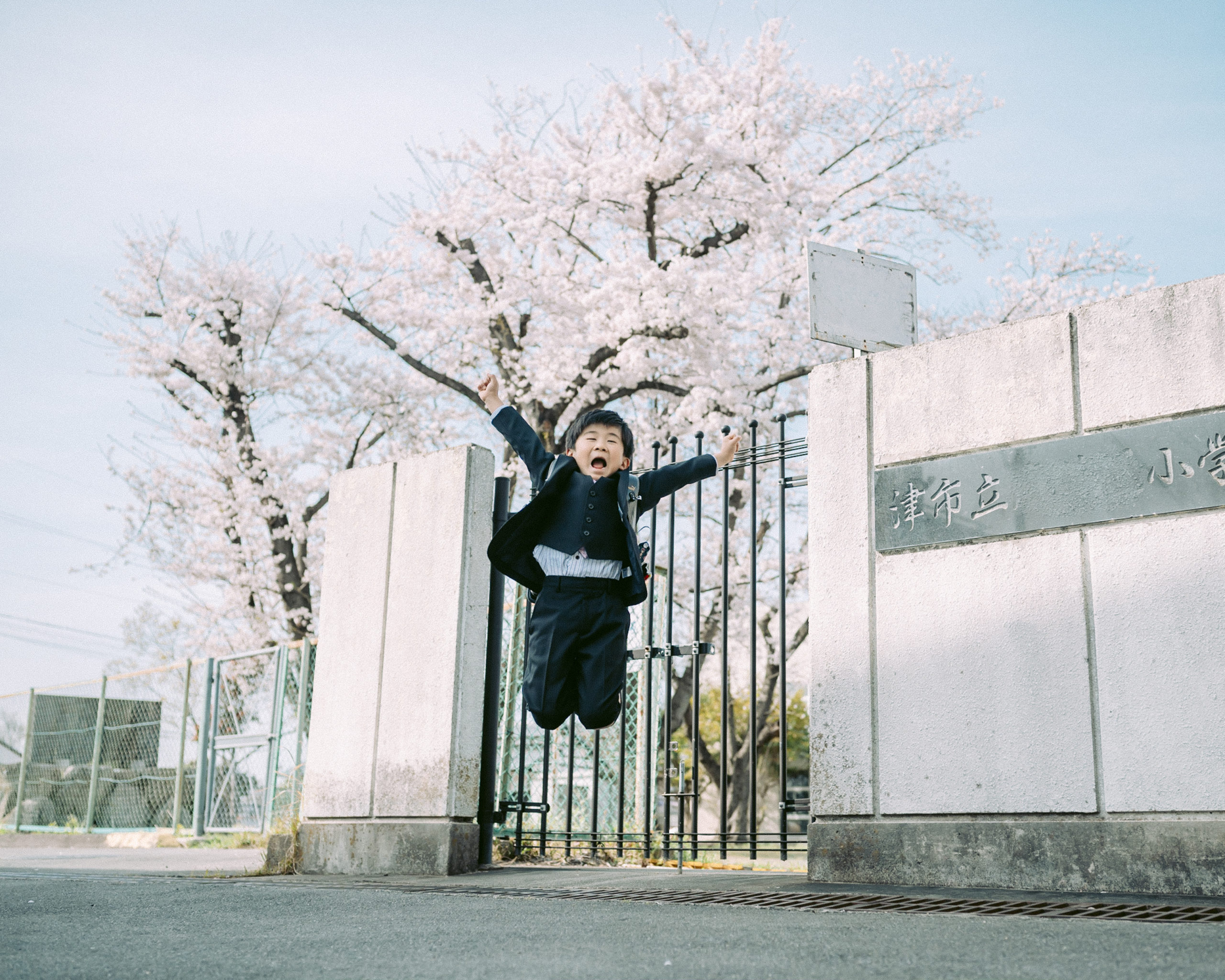 続・続 2024 桜の季節/入学式
